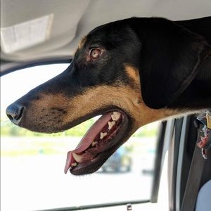 Meet your Posher, Brittany